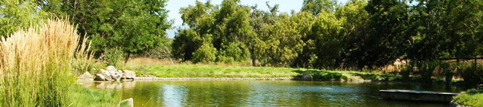 Ranch Lake- Santa Ynez, CA Pond image