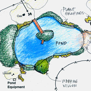 Pond Sketch